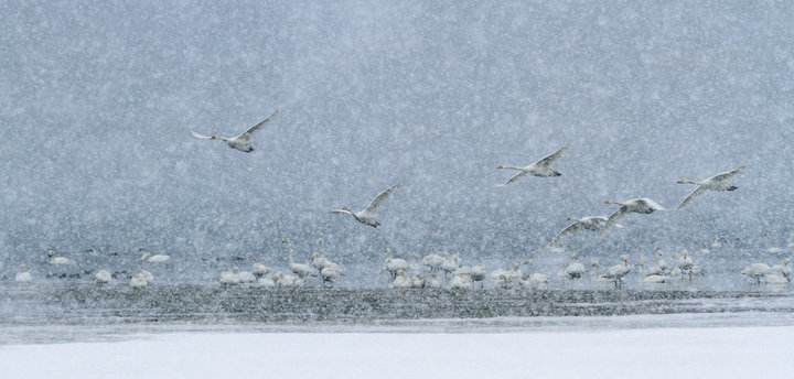 抖音你就像春天的风夏天的雨是什么歌
