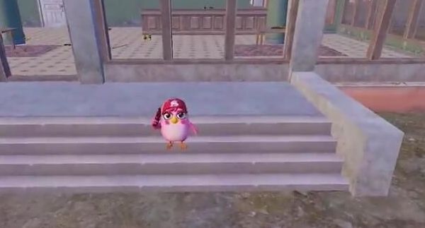 和平精英粉色小鸡的位置在哪里