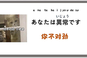 你不对劲是什么梗