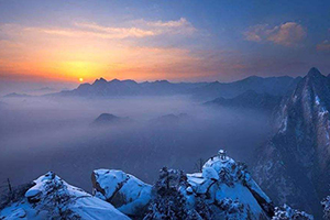 我的侠客华山论剑奖励