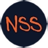 NSS The Game
