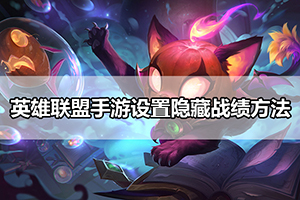 英雄联盟手游设置隐藏战绩方法