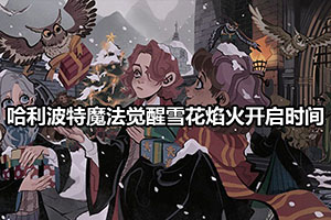 哈利波特魔法觉醒雪花焰火开启时间