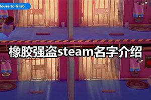 橡胶强盗steam名字介绍