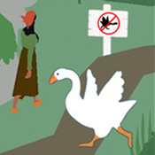 沙雕大鹅模拟器