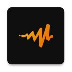AduioMack破解版