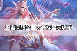 王者荣耀全国大赛标显示攻略