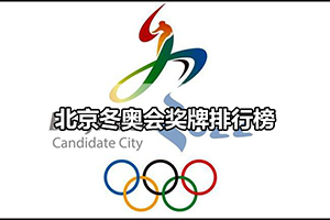 北京冬奥会奖牌排行榜