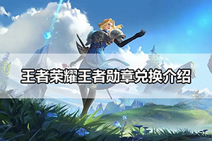 王者荣耀王者勋章兑换介绍