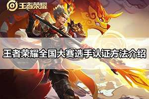 王者荣耀全国大赛选手认证方法介绍