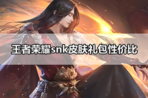 王者荣耀snk皮肤礼包性价比