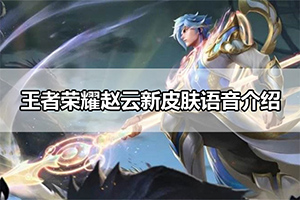 王者荣耀赵云新皮肤语音介绍