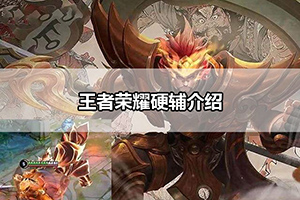 王者荣耀硬辅介绍
