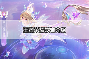 王者荣耀软辅介绍