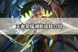 王者荣耀澜新皮肤介绍
