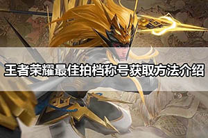 王者荣耀最佳拍档称号获取方法介绍