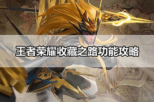 王者荣耀收藏之路功能攻略
