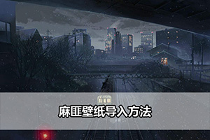 麻匪壁纸导入方法