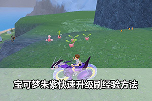 宝可梦朱紫快速升级刷经验方法