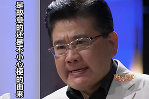 是故意的还是不小心梗的由来