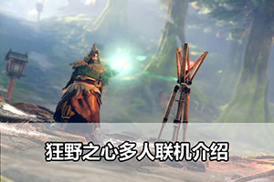狂野之心多人联机介绍