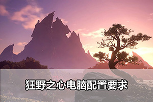 狂野之心电脑配置要求