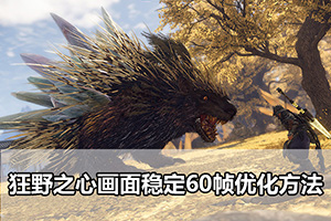 狂野之心画面稳定60帧优化方法