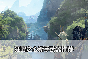 狂野之心新手武器推荐