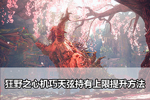 狂野之心机巧天弦持有上限提升方法