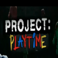 ProjectPlaytime