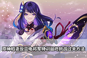 原神稻妻反雷电将军特训最终挑战过关方法