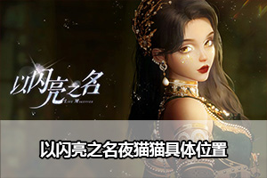 以闪亮之名夜猫猫具体位置