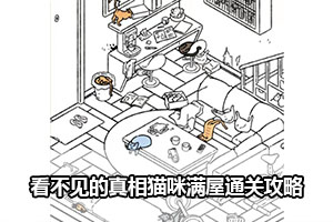 看不见的真相猫咪满屋通关攻略