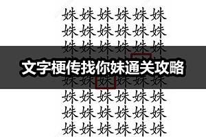 文字梗传找你妹通关攻略