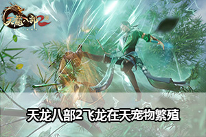 天龙八部2飞龙在天宠物繁殖