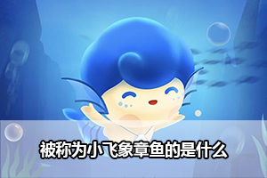 神奇海洋被称为小飞象章鱼的是什么