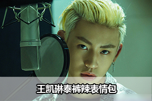 王凯琳泰裤辣表情包