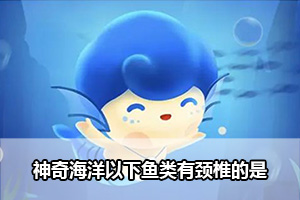 神奇海洋以下鱼类有颈椎的是