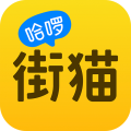 哈啰街猫