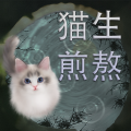 猫生煎熬