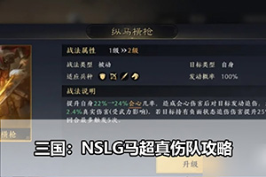 三国：NSLG马超真伤队攻略