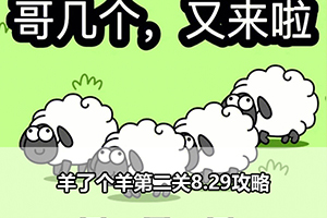8月29羊了个羊通关攻略
