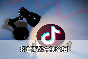 抖音海公牛梗介绍