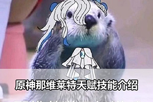 原神那维莱特天赋技能介绍