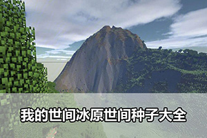 我的世间冰原世间种子大全