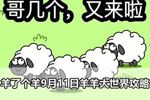 羊了个羊9月11日羊羊大世界攻略