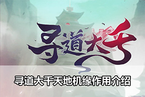 寻道大千天地机缘作用介绍