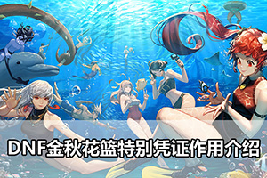DNF金秋花篮特别凭证作用介绍