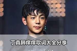 丁真肺痒痒歌词大全分享