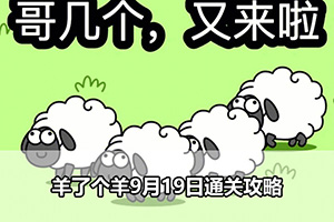 羊了个羊9月19日通关攻略
